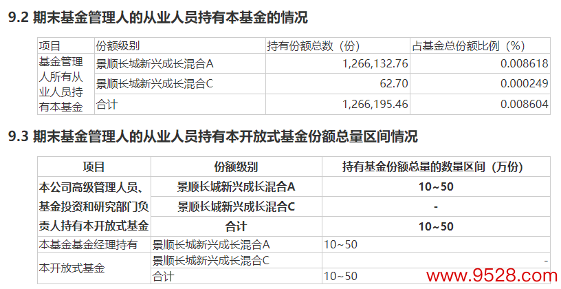 数据起原：景顺长城新兴成长搀和A昨年年报