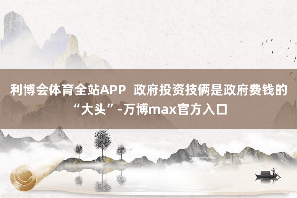 利博会体育全站APP  政府投资技俩是政府费钱的“大头”-万博max官方入口