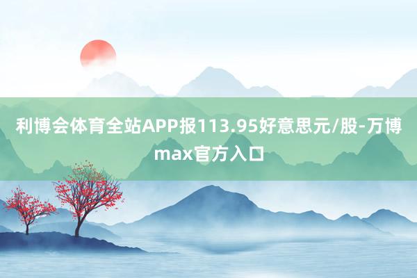 利博会体育全站APP报113.95好意思元/股-万博max官方入口